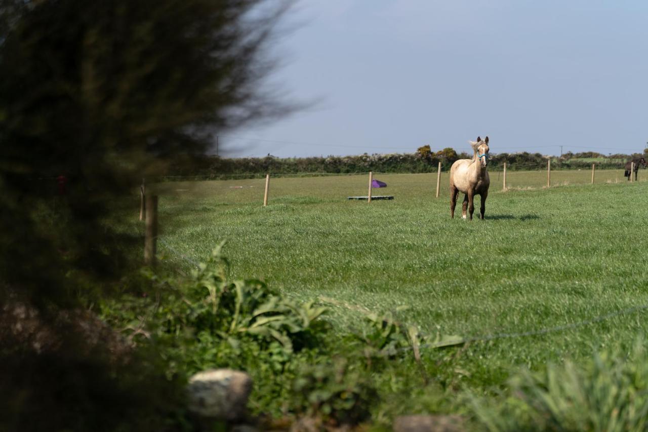 Porthcurno Barns, The Big Barn - Spacious & Cosy Cottage, Walk To Porthcurno Beach, Pedn Vouder & Minack Theatre